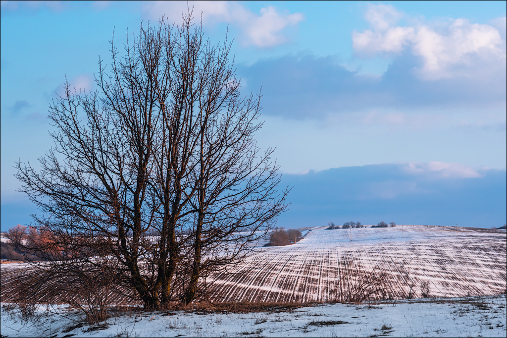 Tipova 20210218 19 101