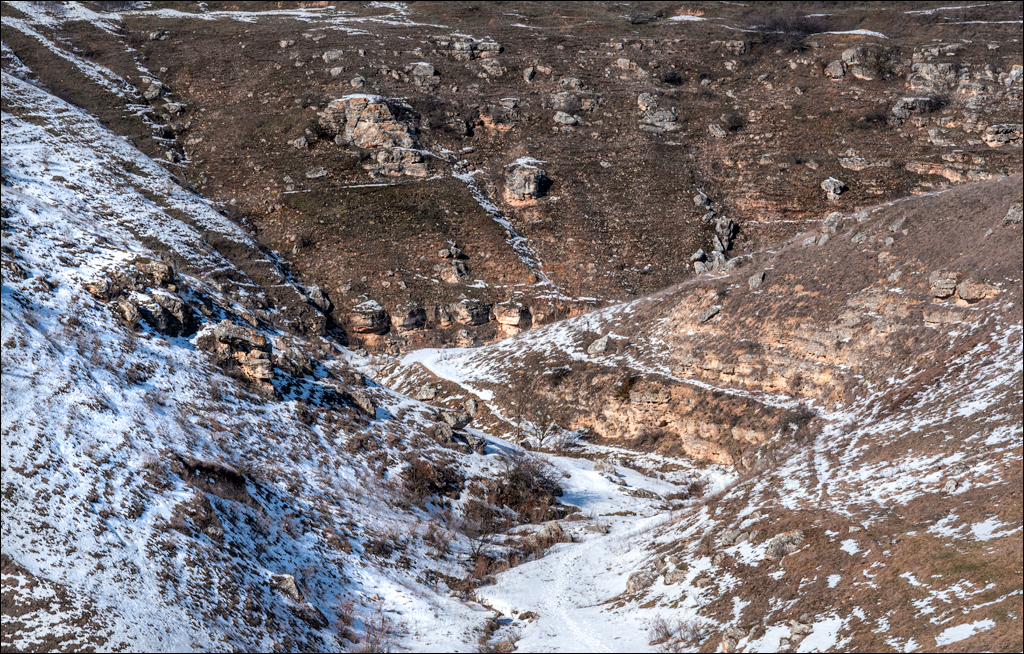 Tipova 20210218 19 142