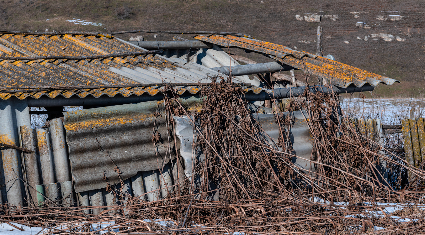 Tipova 20210218 19 144