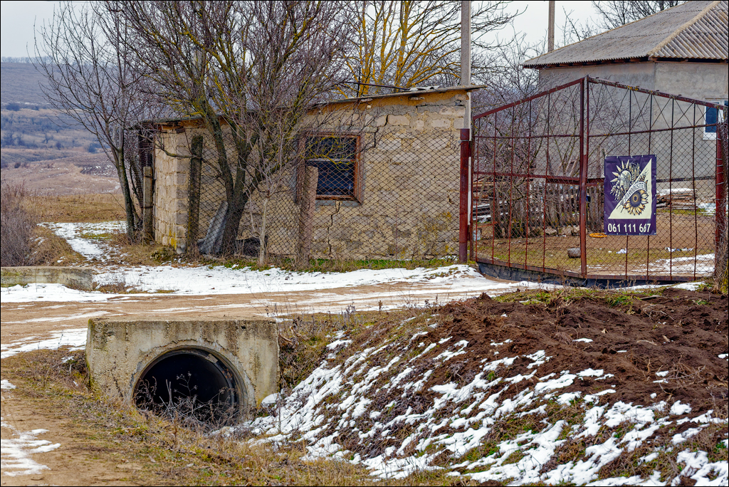 Tipova 22 23feb2025 103