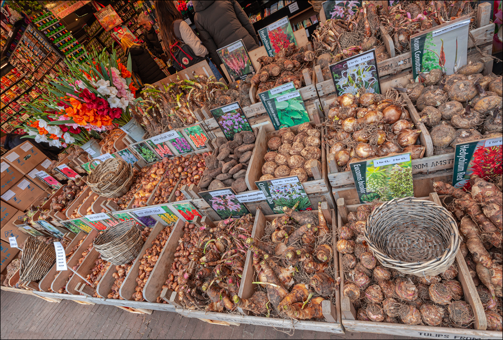 Amsterdam 20220428154