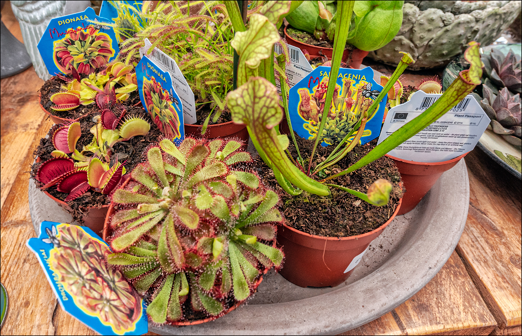 Amsterdam 20220428156