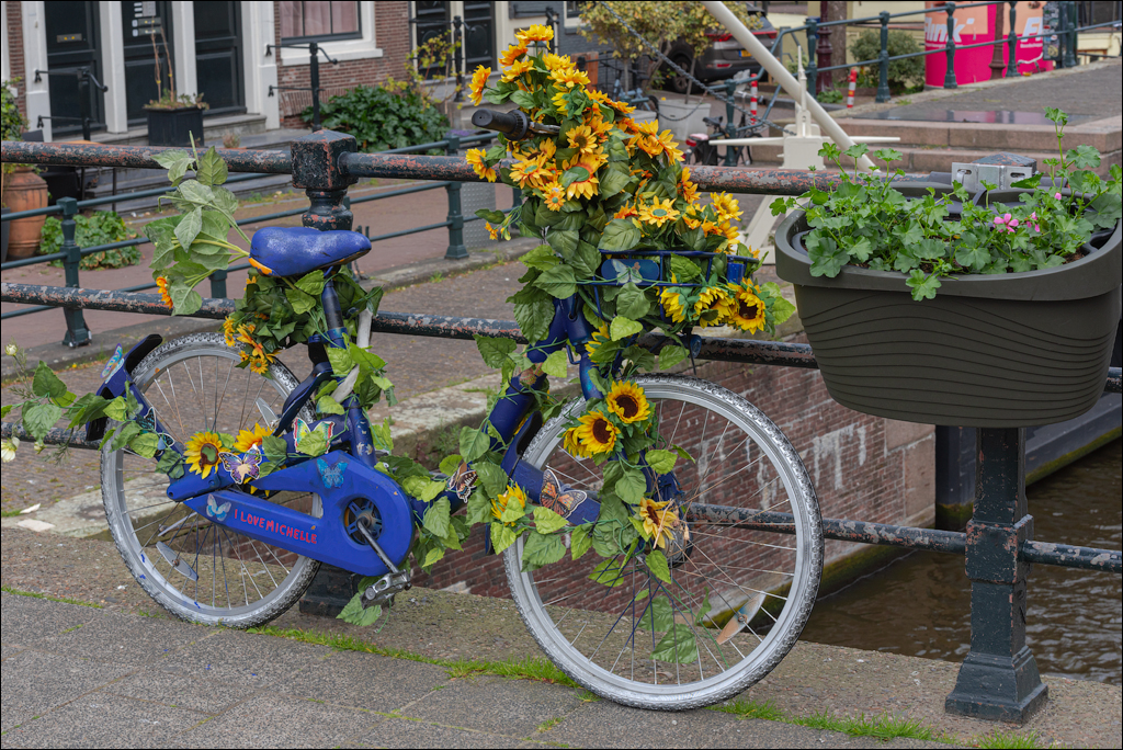 Amsterdam 20220428185