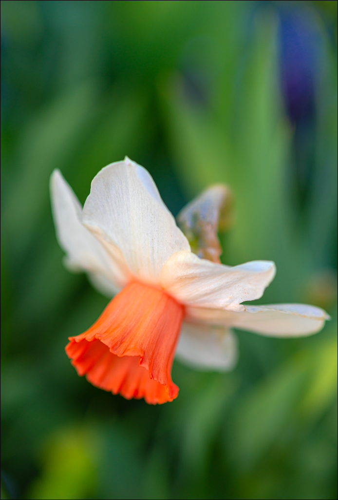 Amsterdam 202204261119