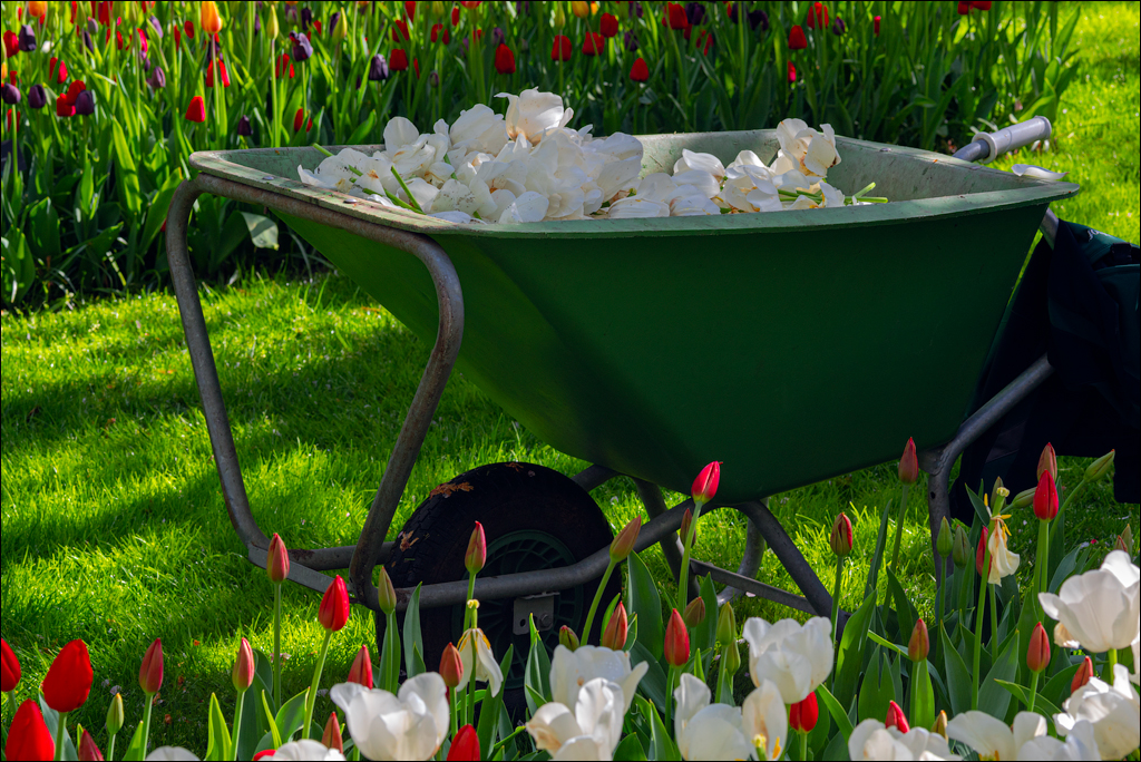 Amsterdam 202204261157