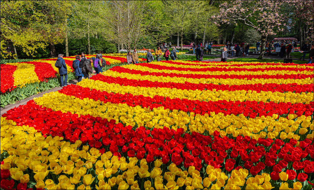 Amsterdam 202204262123