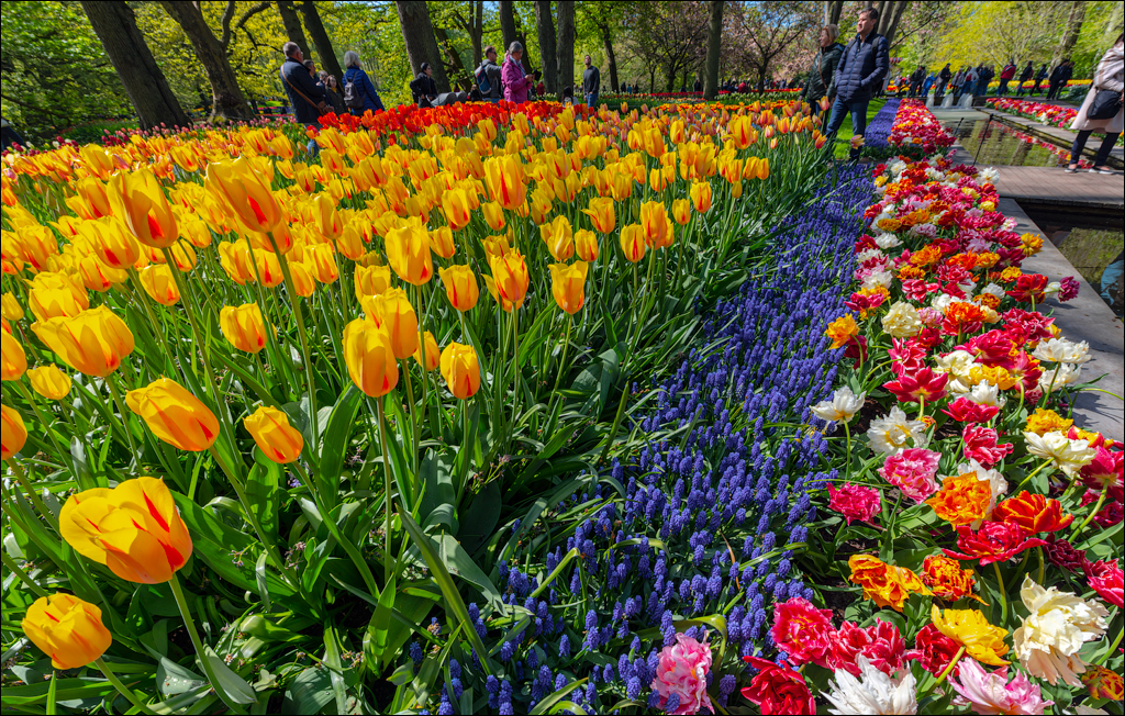 Amsterdam 202204262124