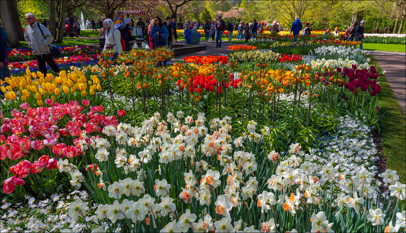 Amsterdam 202204262125