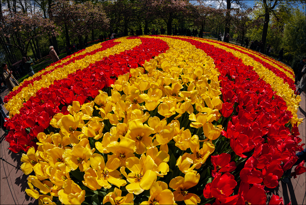 Amsterdam 202204262136