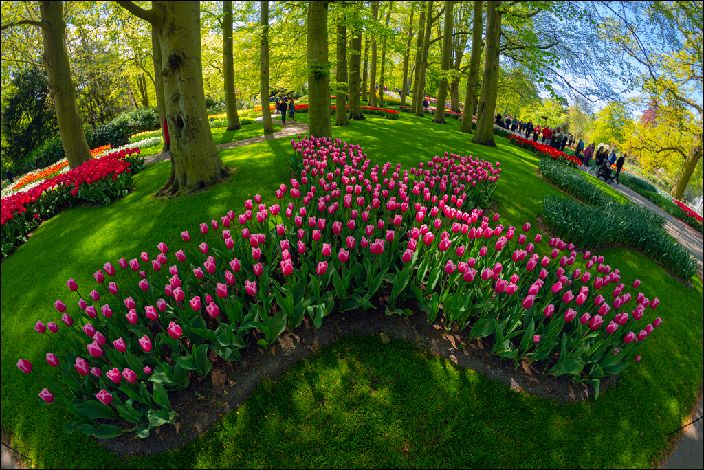 Amsterdam 202204262154