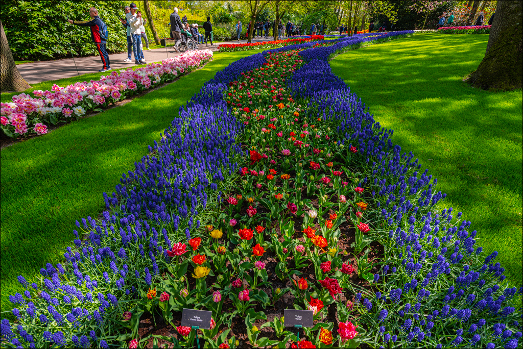 Amsterdam 202204262161