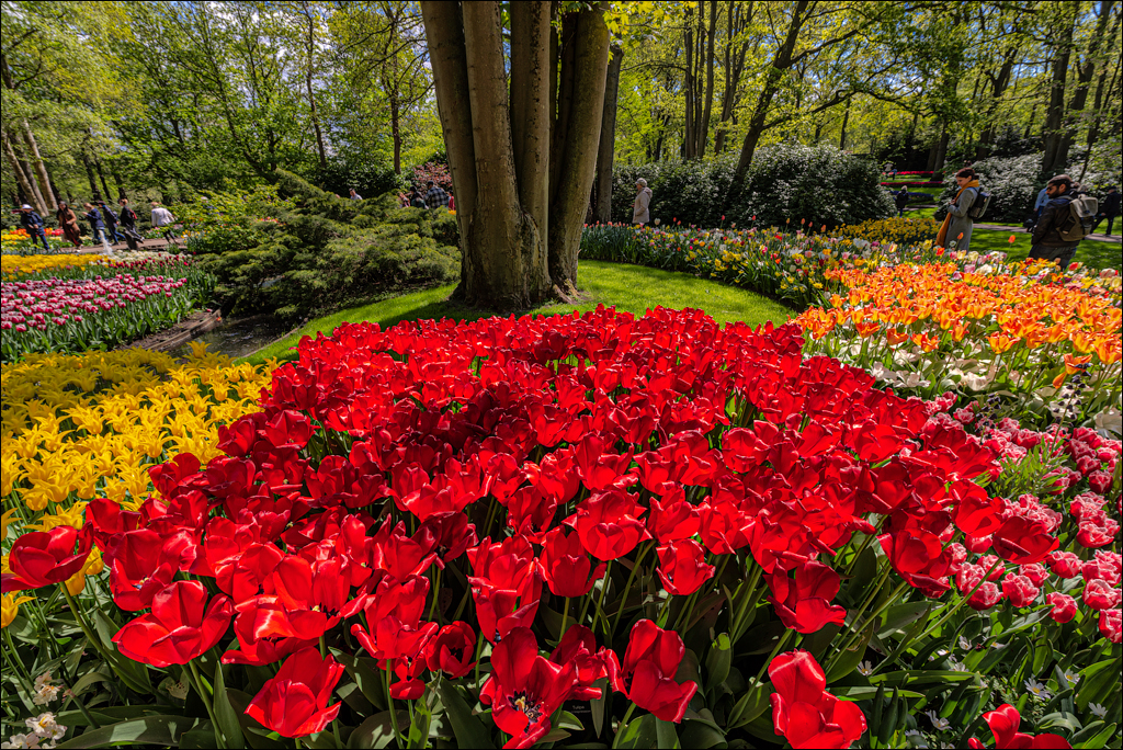 Amsterdam 202204262163