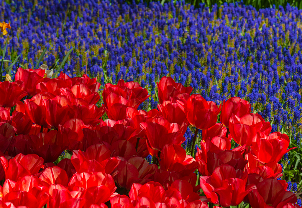 Amsterdam 202204262166