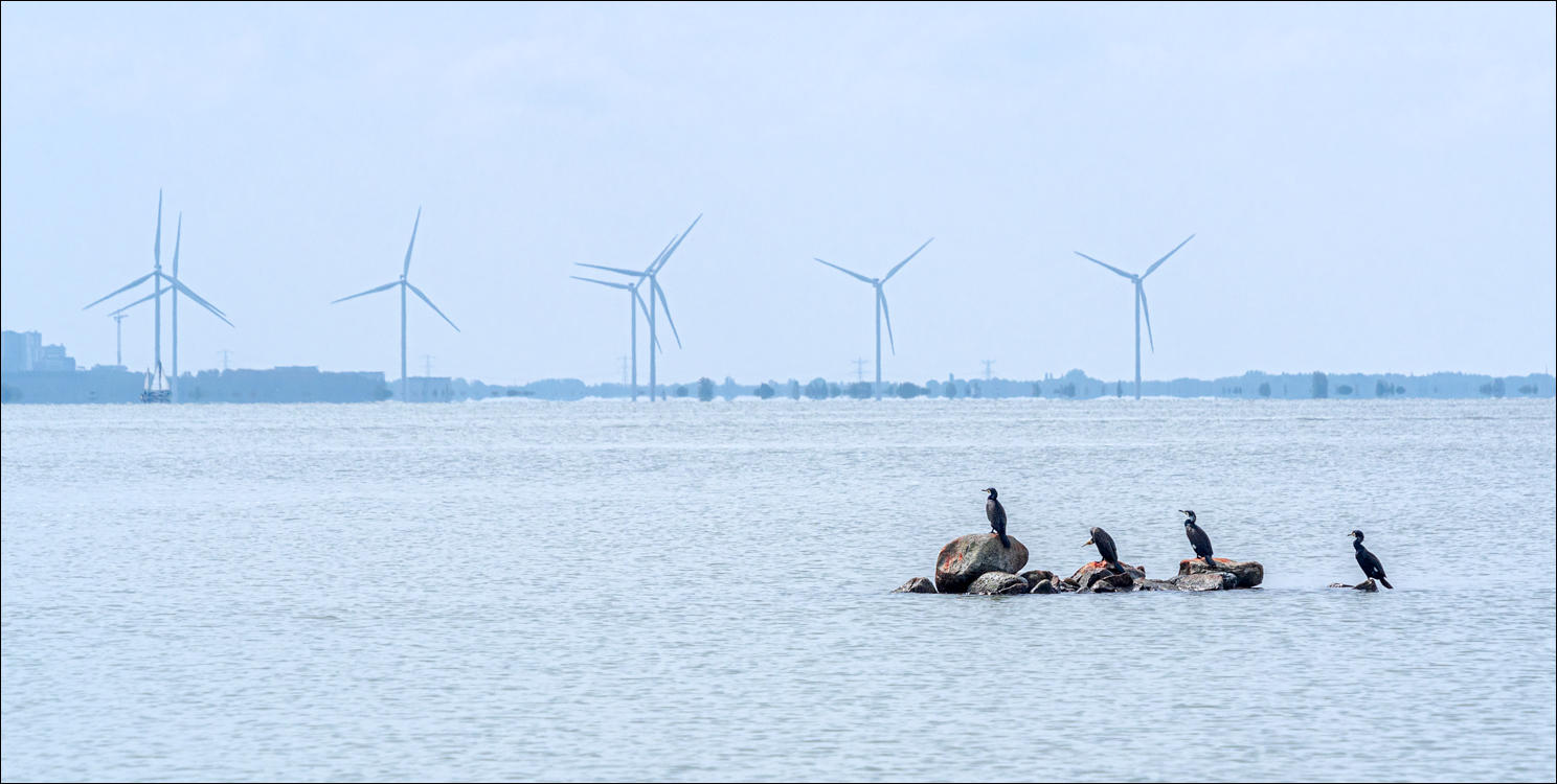 Amsterdam 20220501 123