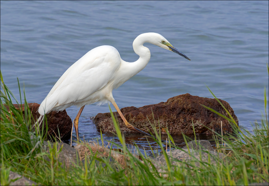 Amsterdam 20220501 125