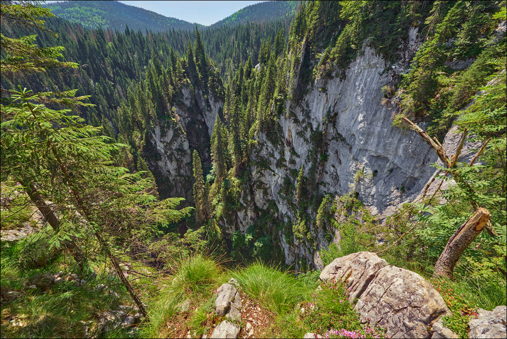 Apuseni 21 23jul2023 137