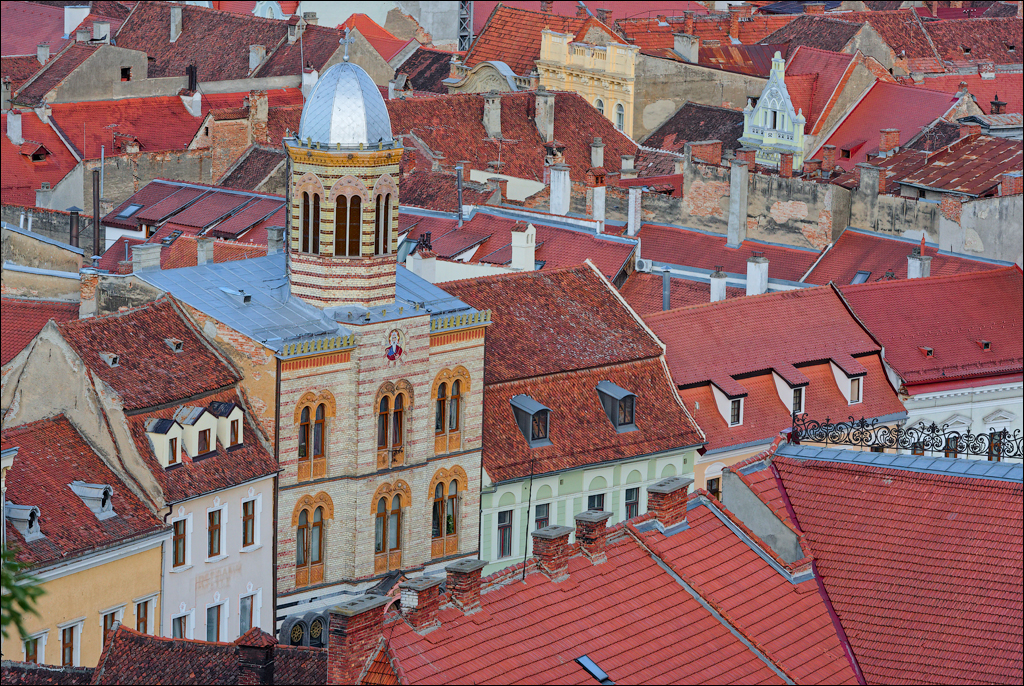 Brasov TimisuDeJos PoianaBrasov 11 16aug2024 167