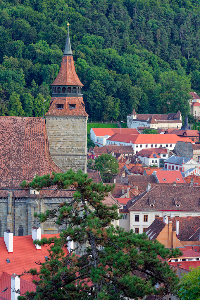 Brasov TimisuDeJos PoianaBrasov 11 16aug2024 168