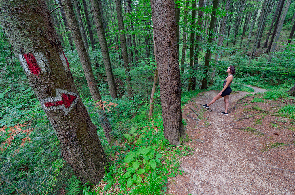 Brasov TimisuDeJos PoianaBrasov 11 16aug2024 202