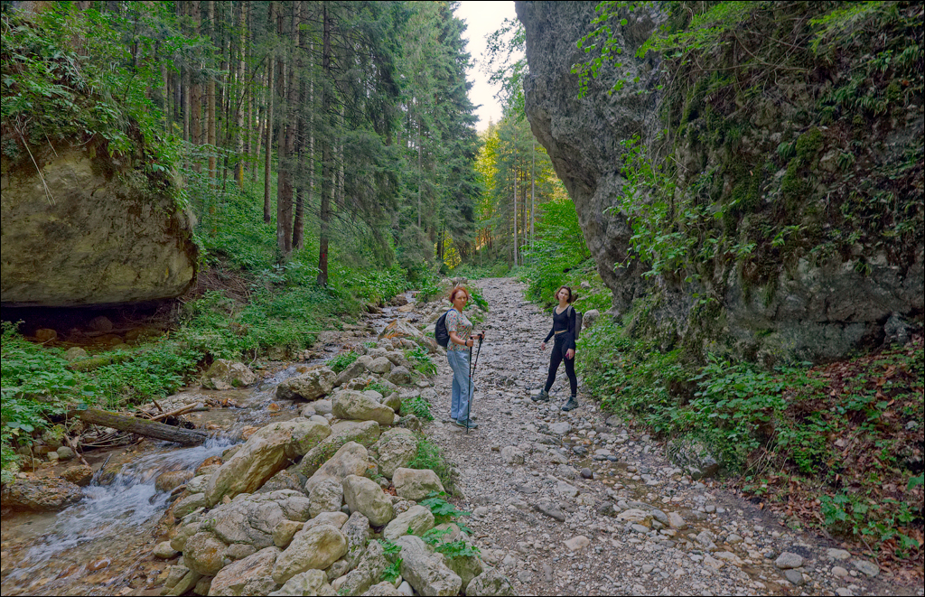 Brasov TimisuDeJos PoianaBrasov 11 16aug2024 215