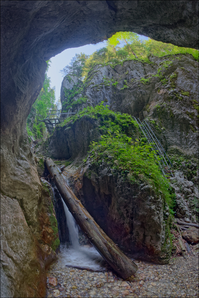 Brasov TimisuDeJos PoianaBrasov 11 16aug2024 233
