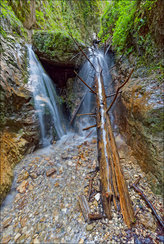 Brasov TimisuDeJos PoianaBrasov 11 16aug2024 238