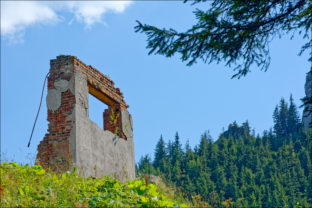 Brasov TimisuDeJos PoianaBrasov 11 16aug2024 246