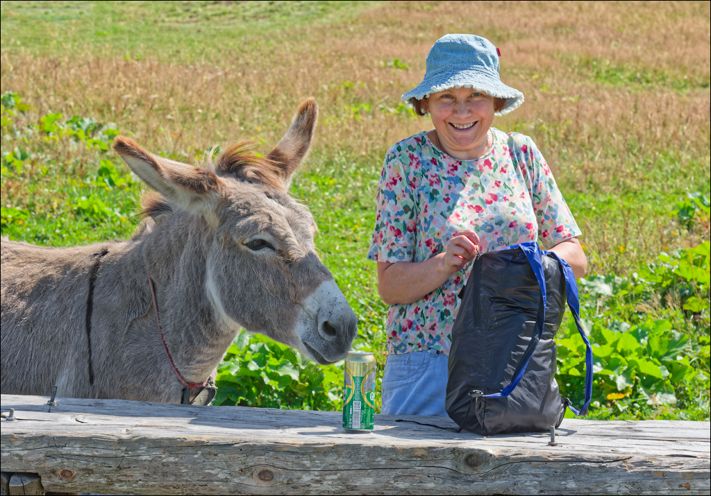 Brasov TimisuDeJos PoianaBrasov 11 16aug2024 248