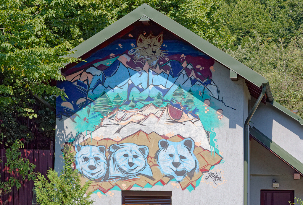 Brasov TimisuDeJos PoianaBrasov 11 16aug2024 261