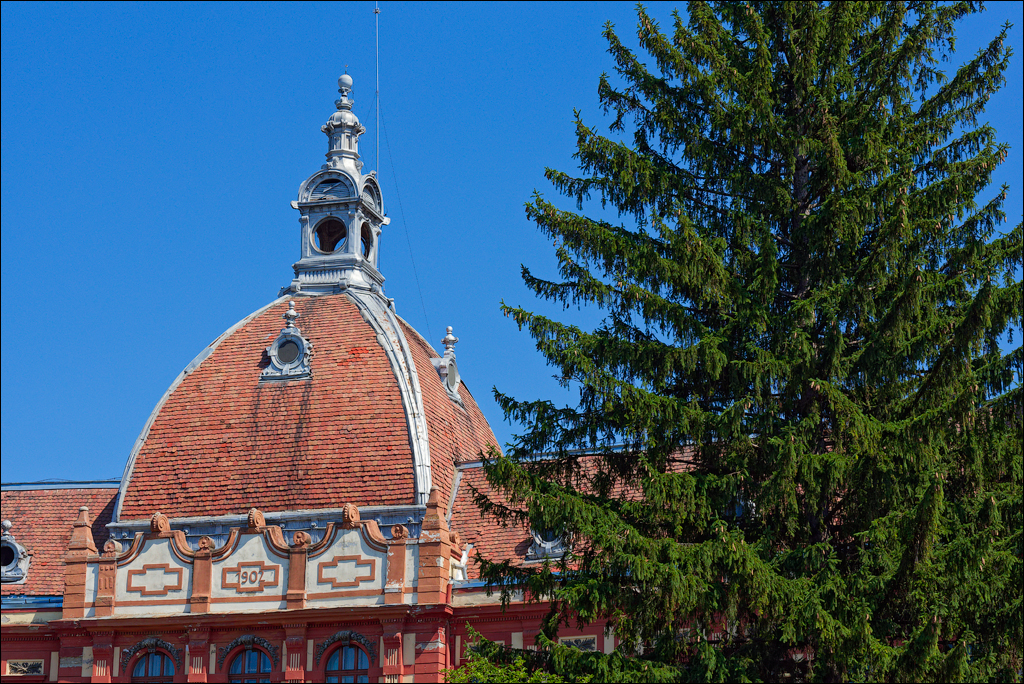 Brasov TimisuDeJos PoianaBrasov 11 16aug2024 284