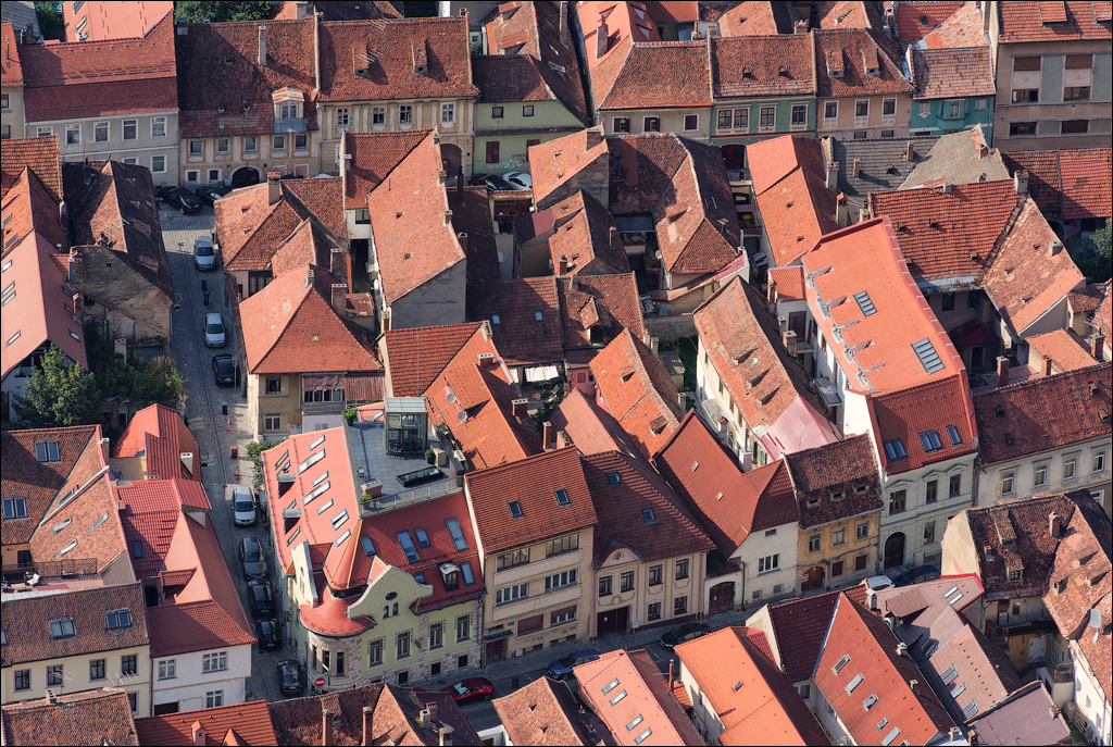 Brasov TimisuDeJos PoianaBrasov 11 16aug2024 305