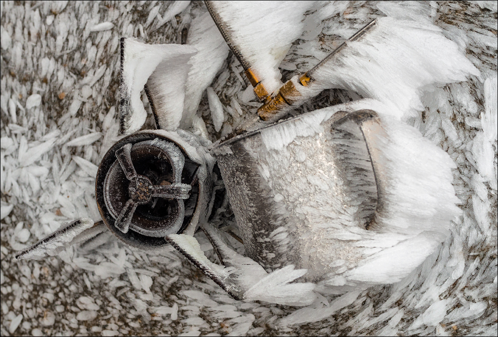 Bucegi Omu 20170912071