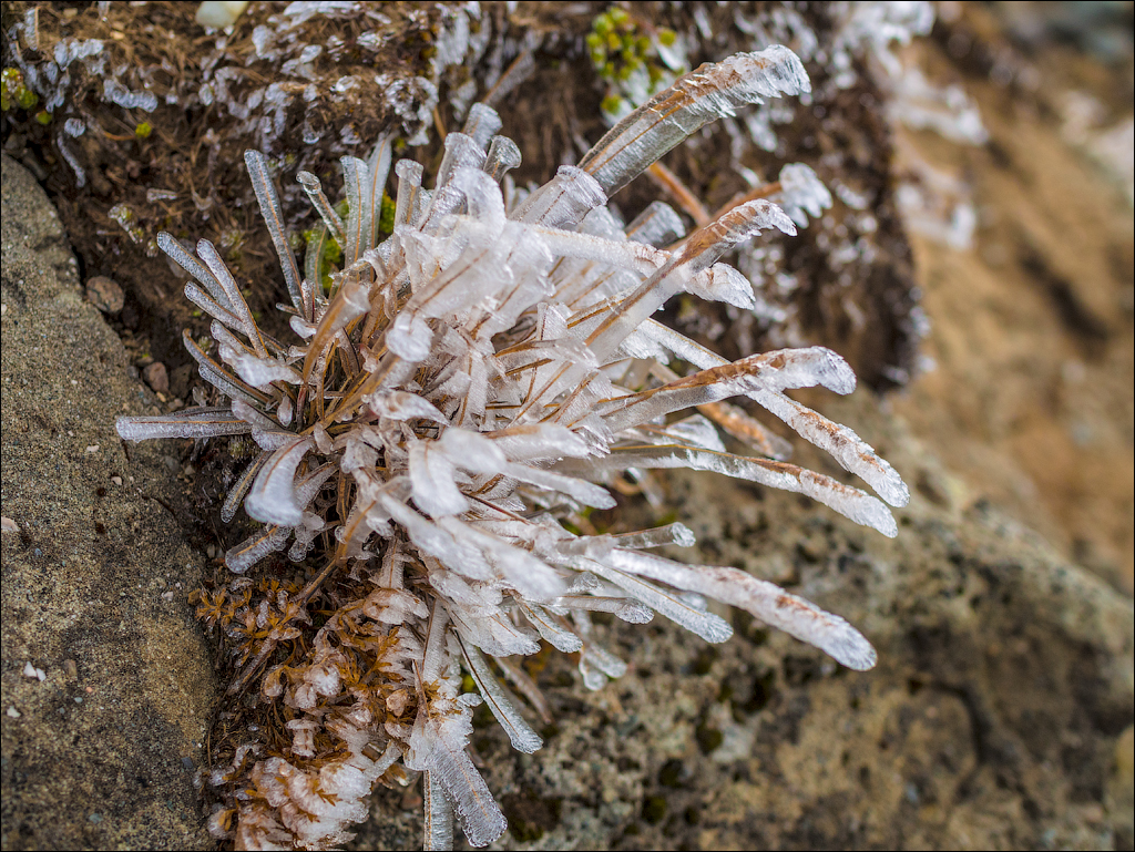 Bucegi Omu 20170912080