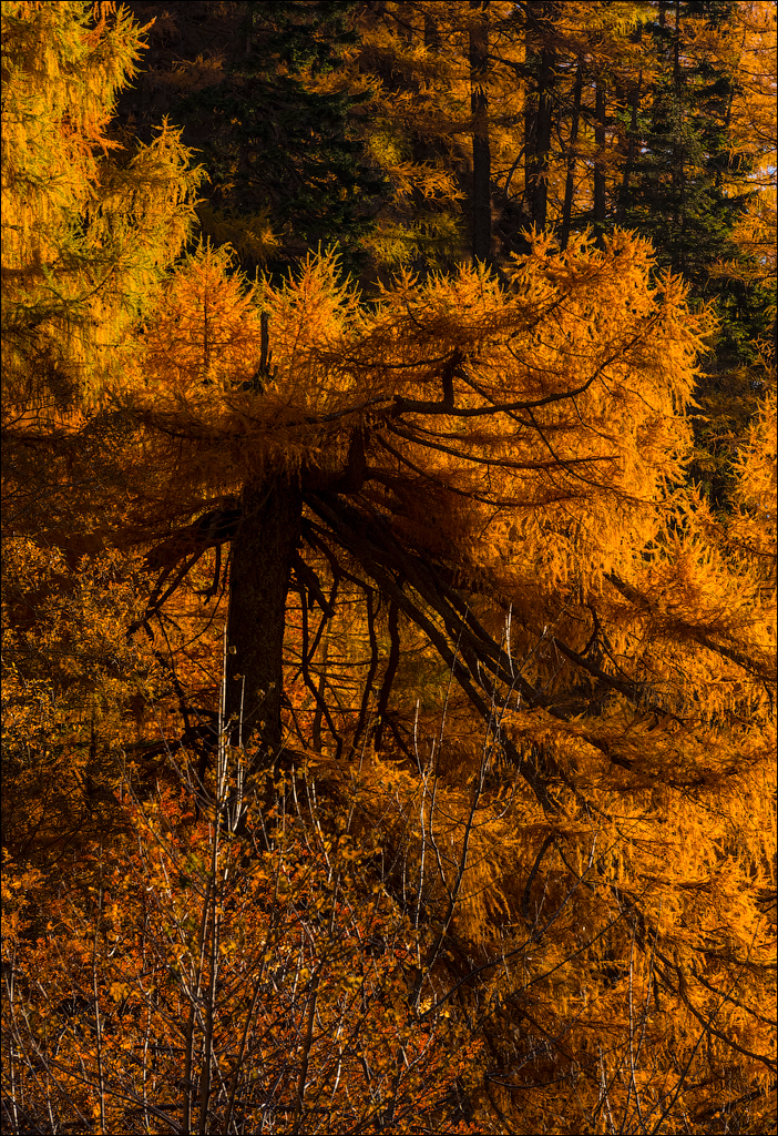 Bucegi Omu 20170912090