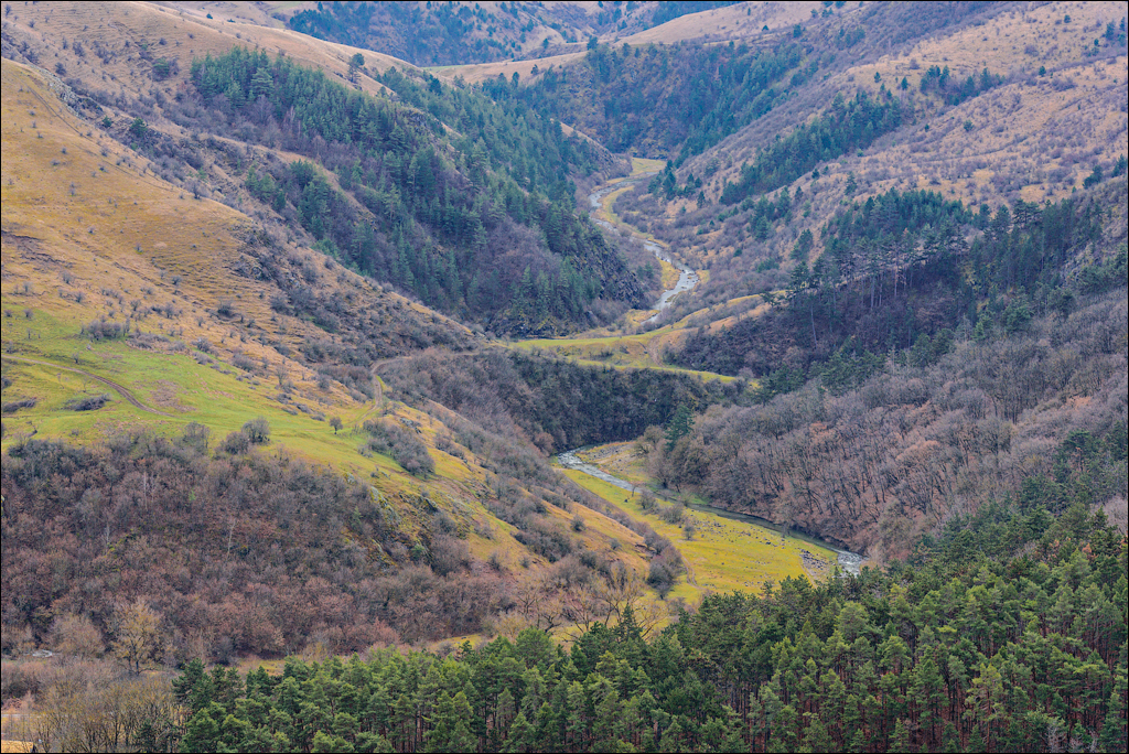 CheileTurzii Cluj 25 26feb2023 133