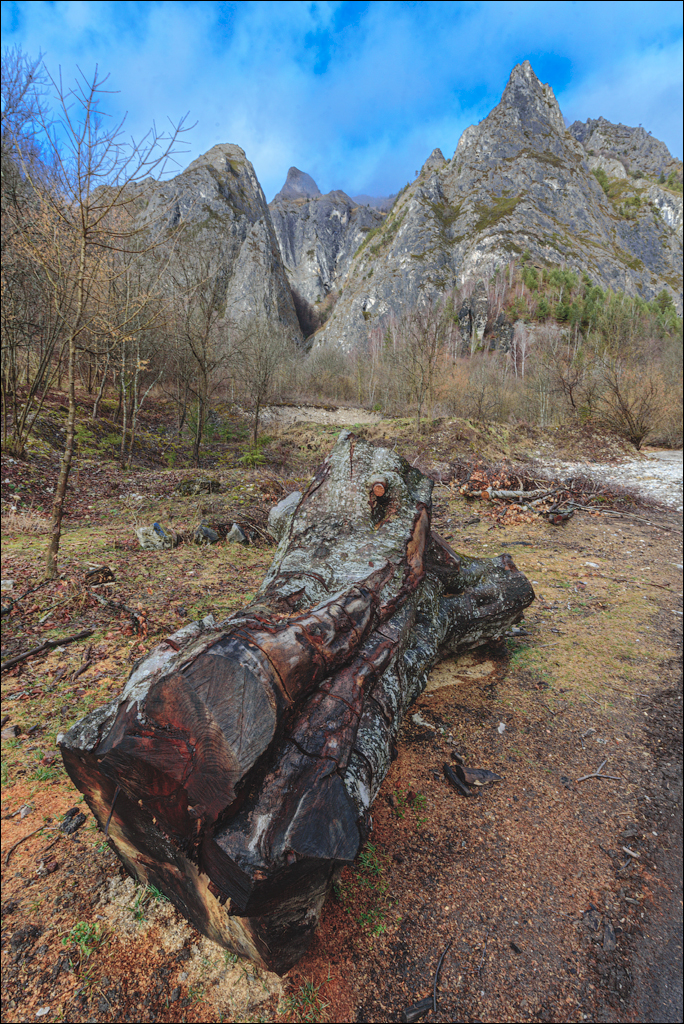 CheileTurzii Cluj 25 26feb2023 146