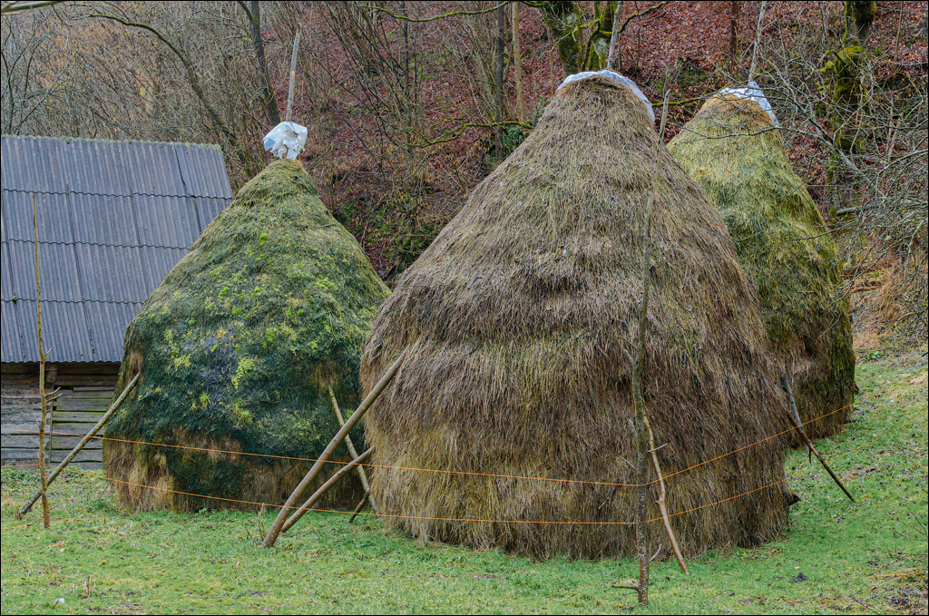 CheileTurzii Cluj 25 26feb2023 155