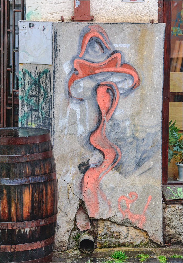 CheileTurzii Cluj 25 26feb2023 233