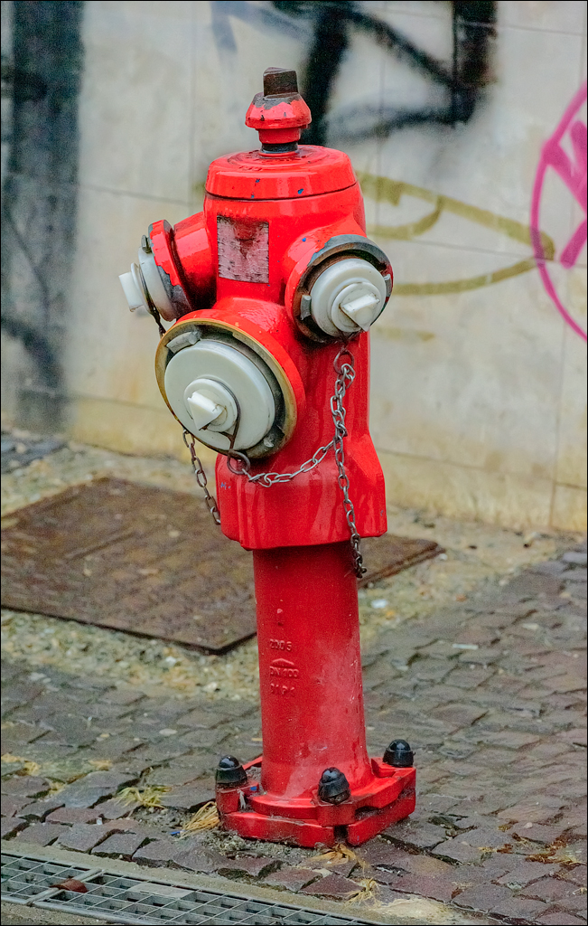 CheileTurzii Cluj 25 26feb2023 249