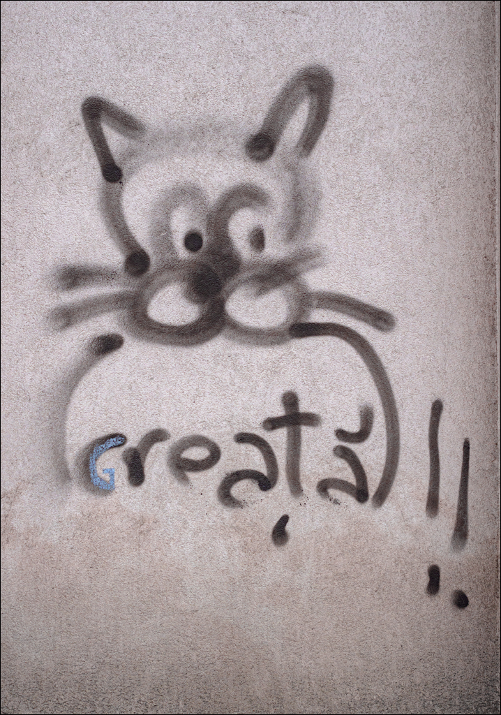 Cluj Napoca 20160605 219