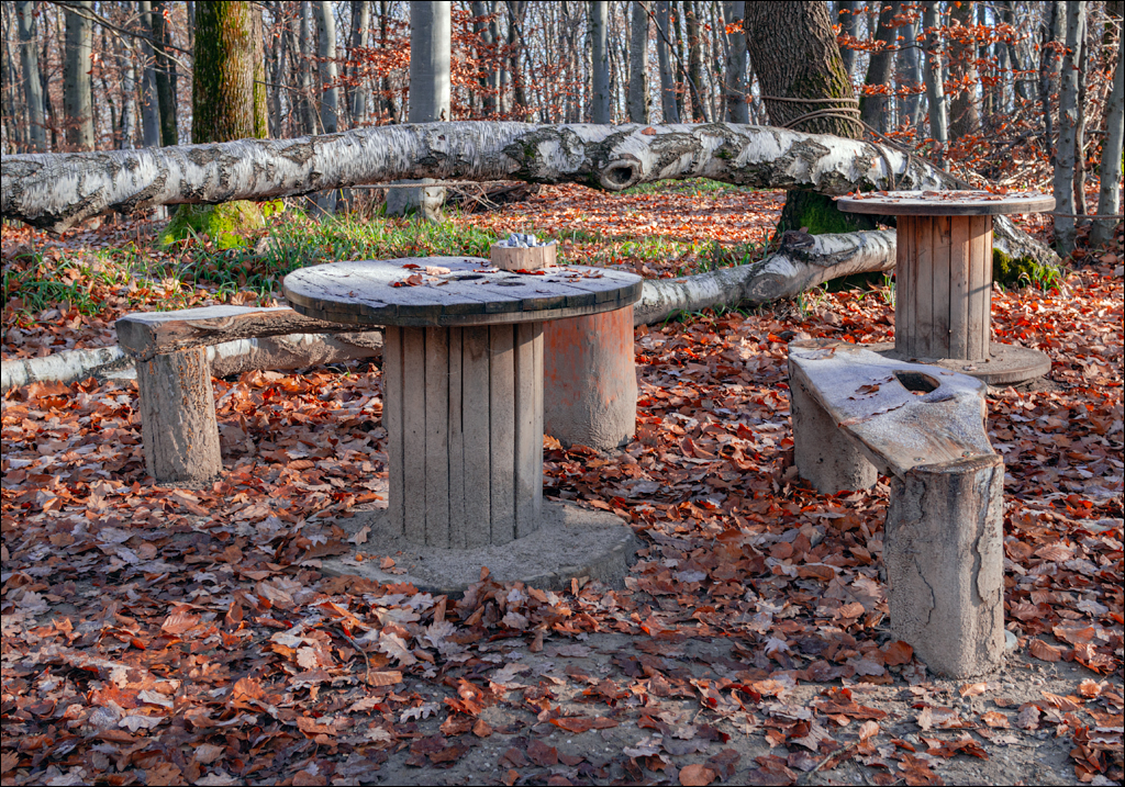 ClujNapoca PesteraUrsilor 20161111 104