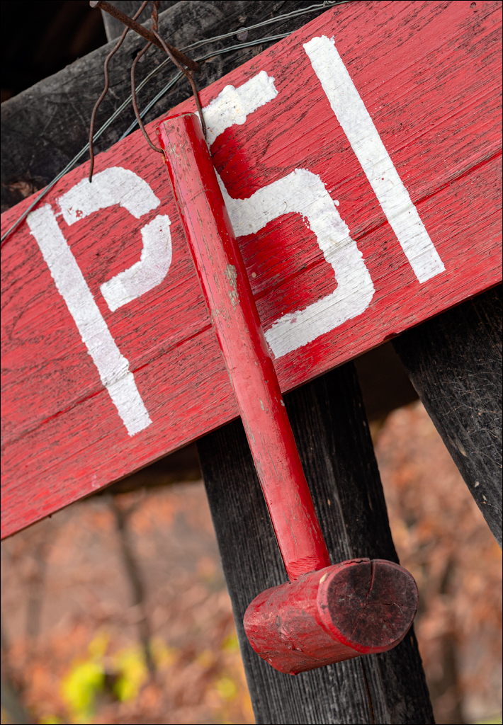 ClujNapoca PesteraUrsilor 20161111 131