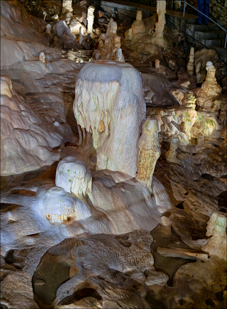 ClujNapoca PesteraUrsilor 20161111 164