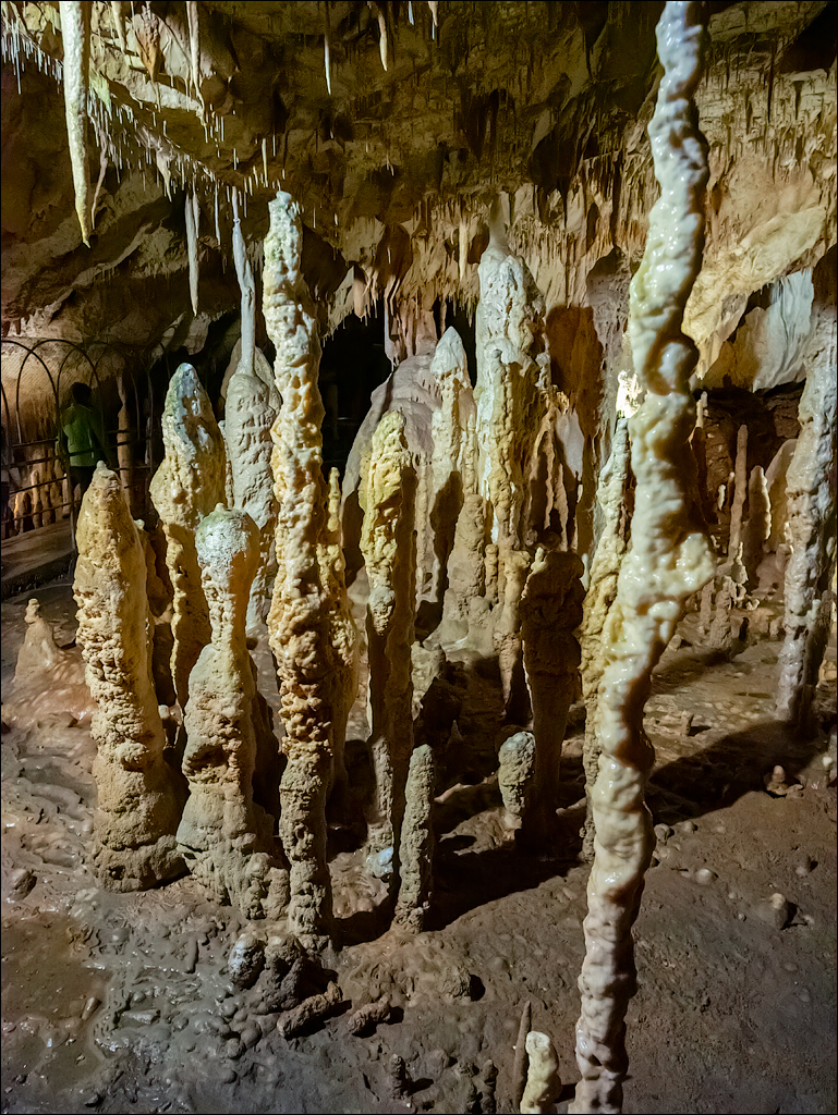 ClujNapoca PesteraUrsilor 20161111 176