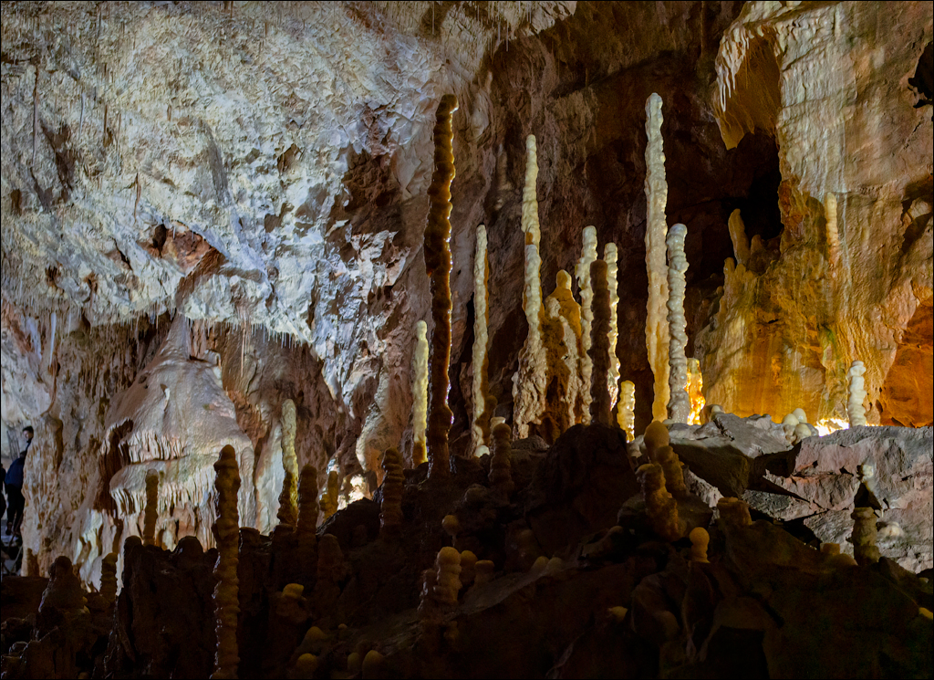 ClujNapoca PesteraUrsilor 20161111 184