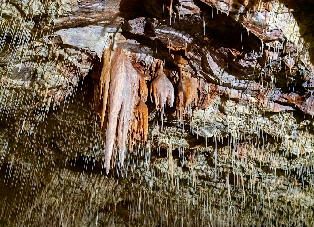 ClujNapoca PesteraUrsilor 20161111 189