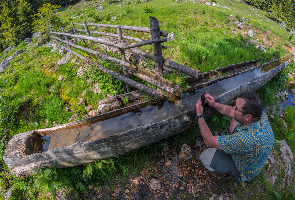 HasmasSinguratica 20180601 3046