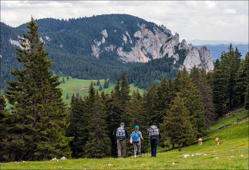 HasmasSinguratica 20180601 3087