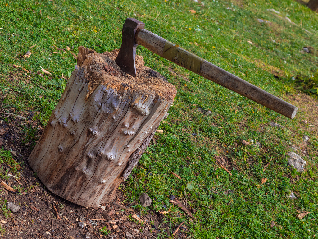 HasmasSinguratica 20180601 3093