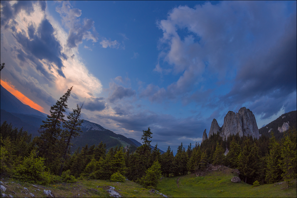 HasmasSinguratica 20180601 3110